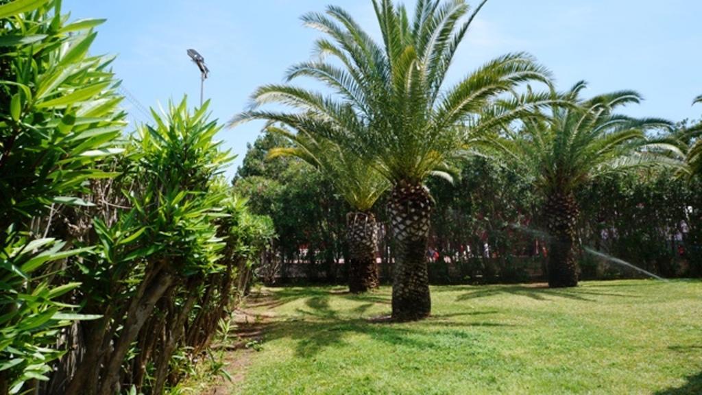 Patio Andaluz Διαμέρισμα Denia Εξωτερικό φωτογραφία