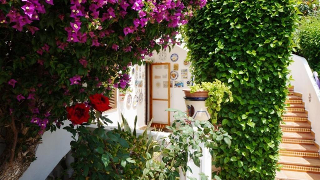 Patio Andaluz Διαμέρισμα Denia Εξωτερικό φωτογραφία